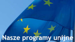 ue pzw