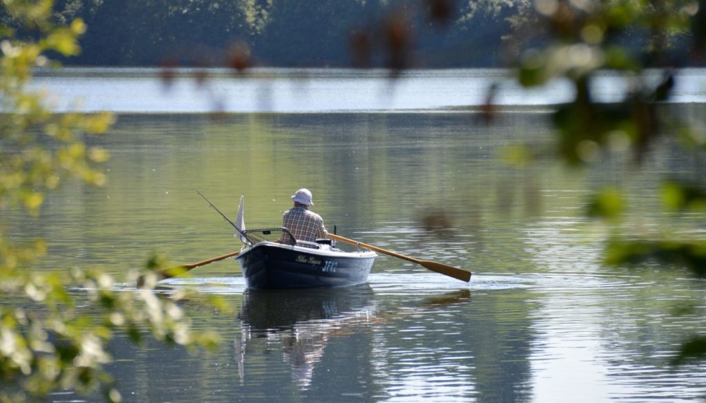 rowing-boat-1506341_1920