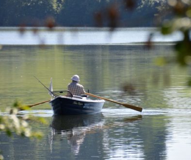 rowing-boat-1506341_1920